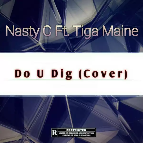 Nasty C - Do U Dig (Remix) ft Tiga Maine